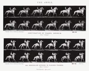 Der Schlendergang von Eadweard Muybridge