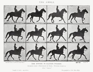 Eadweard Muybridge: Der Passgang