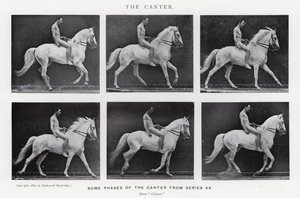 Eadweard Muybridge: Der Kanter (s/w Foto) von Eadweard Muybridge