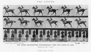 Der Kanter von Eadweard Muybridge