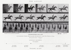 Eadweard Muybridge: Der Galopp von Eadweard Muybridge