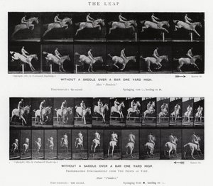 Eadweard Muybridge: Der Sprung von Eadweard Muybridge