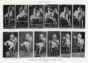 Eadweard Muybridge: Der Sprung (s/w Foto) von Eadweard Muybridge