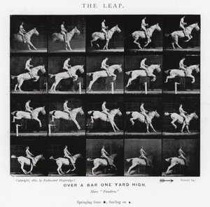 Der Sprung von Eadweard Muybridge