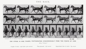 Der Galopp von Eadweard Muybridge