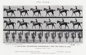 Eadweard Muybridge: Der Gang von Eadweard Muybridge