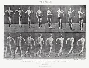 Der Spaziergang von Eadweard Muybridge
