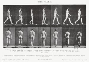 Eadweard Muybridge: Der Gang (s/w Foto) von Eadweard Muybridge