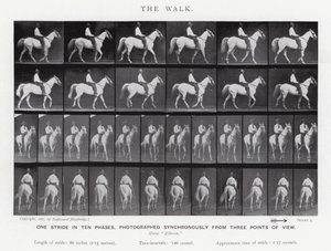 Eadweard Muybridge: Der Gang von Eadweard Muybridge
