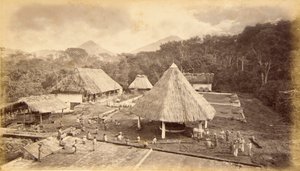 Hacienda William Nelson, San Isidro, Guatemala von Eadweard Muybridge