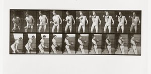 Mann hebt eine Hantel, Tafel 324 aus Animal Locomotion, 1887