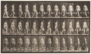 Tafel 106. Treppensteigen, Eimer Wasser in jeder Hand von Eadweard Muybridge