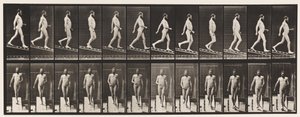 Tafel 113. Abstieg, 1 zu 4 von Eadweard Muybridge