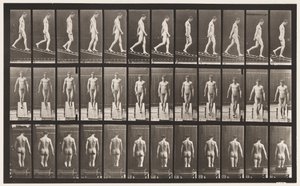Tafel 114. Abwärts geneigt, Winkel 1 zu 4 von Eadweard Muybridge