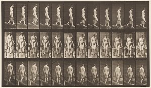 Tafel 121. Steigung hinabsteigen, Eimer Wasser in jeder Hand von Eadweard Muybridge