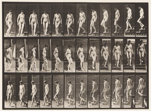 Tafel 138. Treppe hinuntergehen, sich umdrehen; Krug in der linken Hand von Eadweard Muybridge