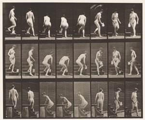 Tafel 150. Treppenabstieg; sich bücken, Krug heben, drehen von Eadweard Muybridge