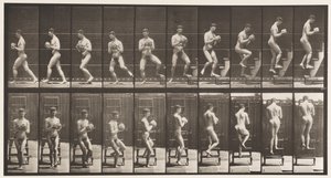 Tafel 151. Abwärts auf der Leiter, Umdrehen, Stein in den Händen von Eadweard Muybridge