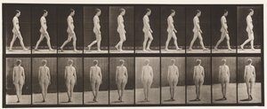 Tafel 15. Gehen von Eadweard Muybridge
