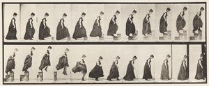 Tafel 173. Aufsteigende Stufen und Absprung, 1885 von Eadweard Muybridge