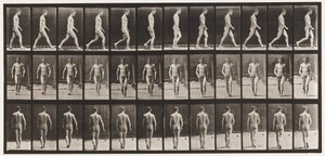 Tafel 1. Gehen von Eadweard Muybridge
