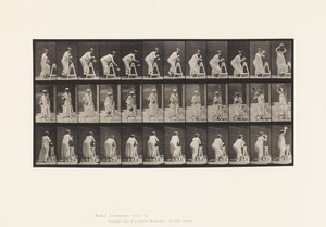 Tafel 216. Bücken, um einen Wasserkrug zu füllen; Krug auf den Kopf stellen von Eadweard Muybridge
