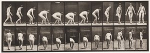 Tafel 220. Sich bücken und ein Taschentuch aufheben und sich umdrehen von Eadweard Muybridge