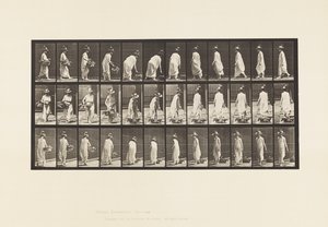 Platte 229. Korb auf den Boden stellen und Drehen von Eadweard Muybridge