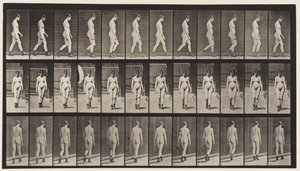 Gehen, mit hochhackigen Stiefeln von Eadweard Muybridge