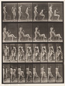 Zwei Modelle; Eine stehend, die andere sitzend, Beine überkreuzt von Eadweard Muybridge