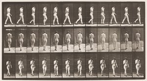 Tafel 23. Gehen, rechte Hand am Kinn, hochhackige Schuhe an von Eadweard Muybridge