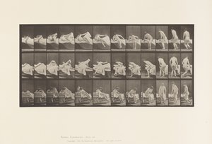 Tafel 264. Aufstehen und sich zum Knien vorbereiten von Eadweard Muybridge