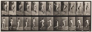 Tafel 289. Cricket; Rundarm-Bowling, 1885