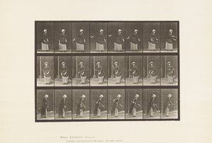 Tafel 296. Rasentennis von Eadweard Muybridge