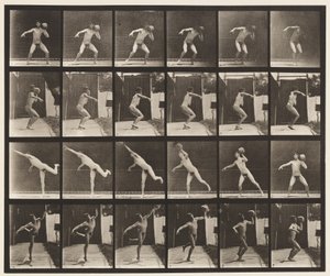 Tafel 315. Einen 20-Pfund-Stein heben von Eadweard Muybridge