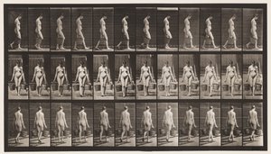 Tafel 32. Gehen, Eimer Wasser in jeder Hand tragend von Eadweard Muybridge