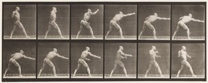 Tafel 344. Einen Schlag ausführen (rechte Hand) von Eadweard Muybridge