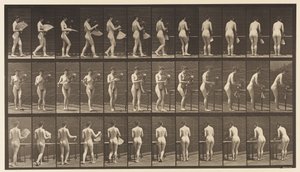 Tafel 441. Vase tragen und auf den Tisch stellen von Eadweard Muybridge