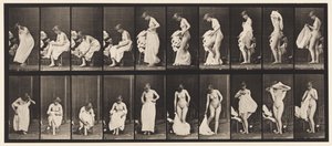 Verschiedene Phasen der Toilette