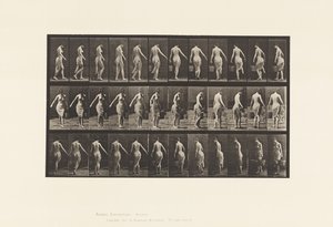Gehen, einen Eimer tragen von Eadweard Muybridge