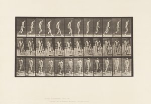 Tafel 537. Einfache Amputation des Beins; Hüpfen mit Krücken von Eadweard Muybridge
