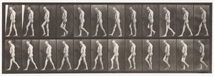 Tafel 555. Muskelatrophie der Beine; Erwachsener, A,B, Gehen, 1885 von Eadweard Muybridge