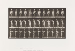 Tafel 557. Lokale Chorea; A, B, C, im Stehen, 1885 von Eadweard Muybridge