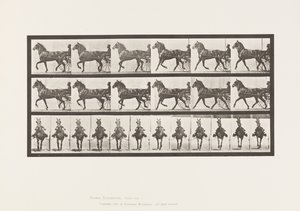 Tafel 612. Trabend; Sulky; Braunes Pferd Dereumd