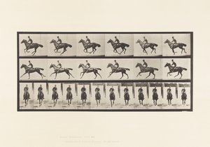 Tafel 632. Galopp; Sattel; Vollblut Braunes Pferd Bouquet von Eadweard Muybridge