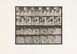 Tafel 711. Hunde; Zwei Rennen; A, B; Rennhunde, Ike & Maggie