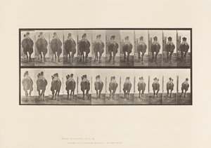 Tafel 742. Baktrisches Kamel; A, Passgang; B, Galoppierend von Eadweard Muybridge