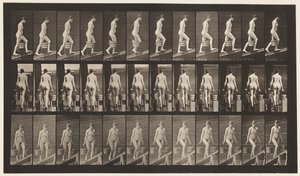 Tafel 81. Steigung hinaufsteigen von Eadweard Muybridge