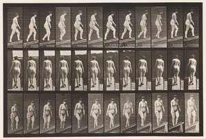 Tafel 86. Abwärts geneigt von Eadweard Muybridge