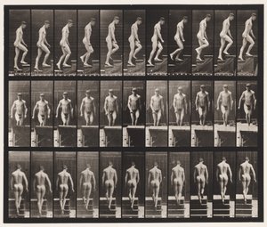 Tafel 88. Treppensteigen von Eadweard Muybridge